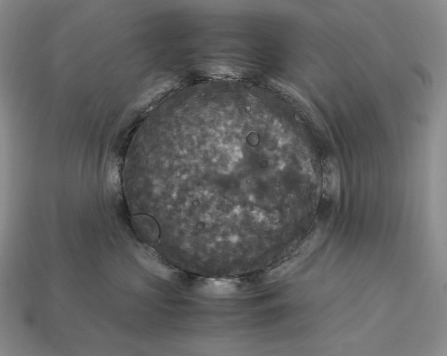 X0000113140573200909181732