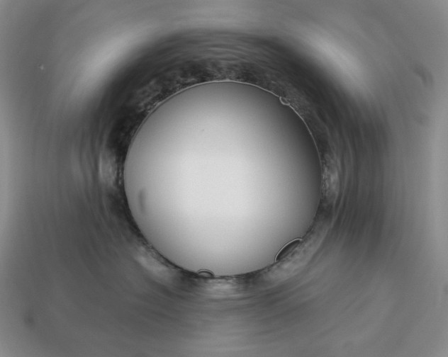 X0000113140574200909181732