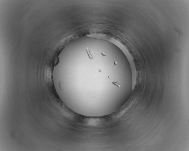 X0000113140575200909181732