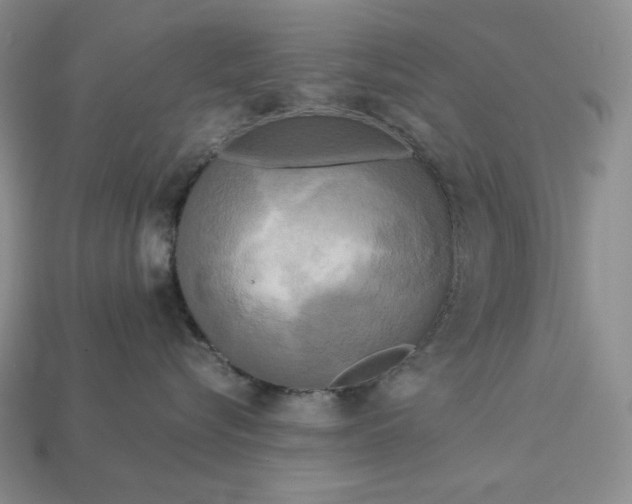 X0000113140576200909181732