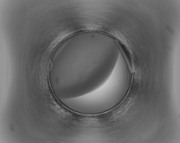 X0000113140577200909181731