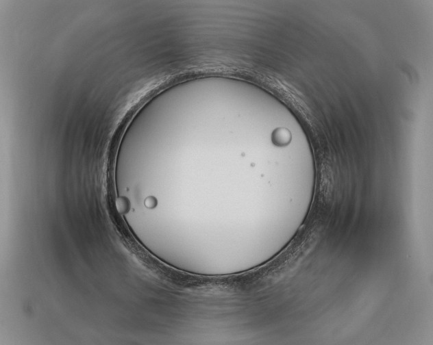 X0000113140578200909181731