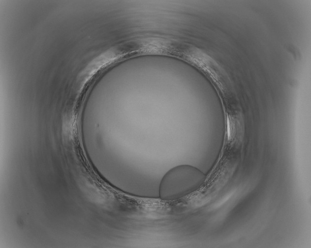 X0000113140579200909181731