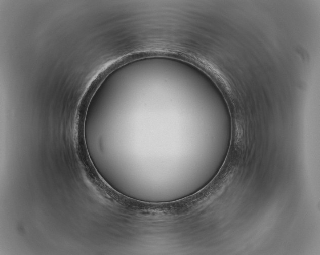 X0000113140580200909181731