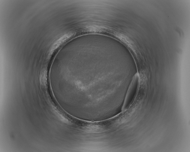 X0000113140581200909181731