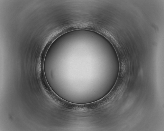 X0000113140582200909181731