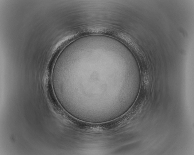 X0000113140583200909181731