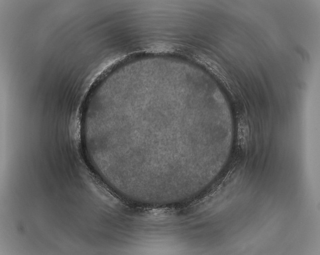 X0000113140584200909181731