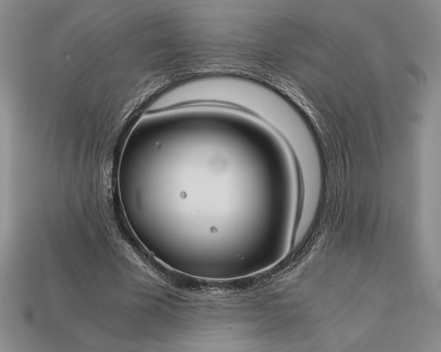 X0000113140585200909181731