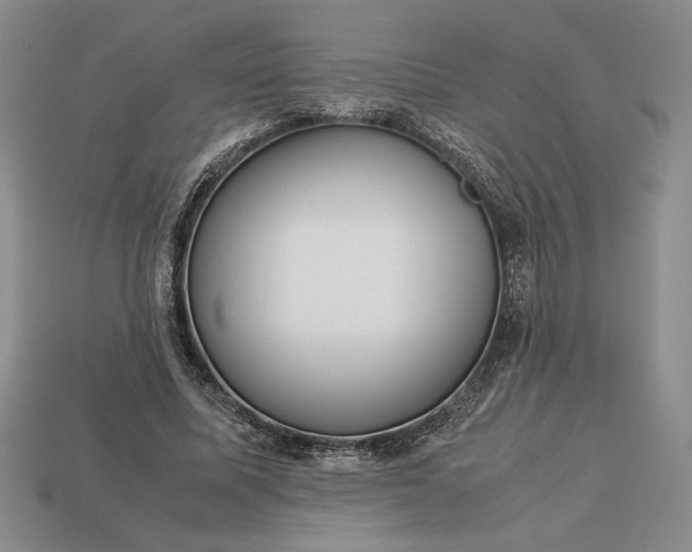 X0000113140587200909181731