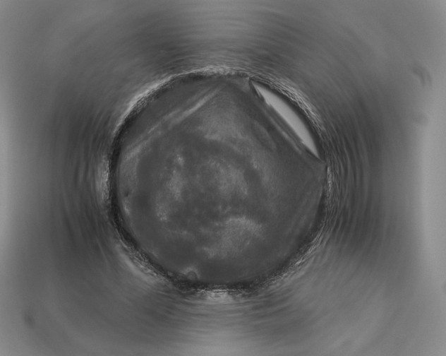 X0000113140588200909181731