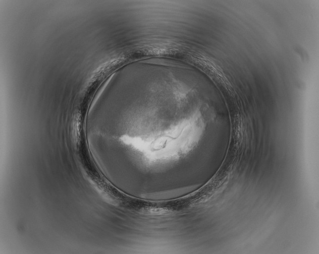 X0000113140590200909181731