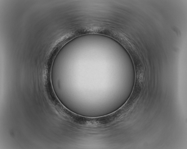 X0000113140591200909181731