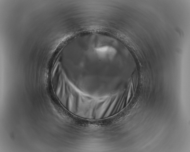 X0000113140592200909181731