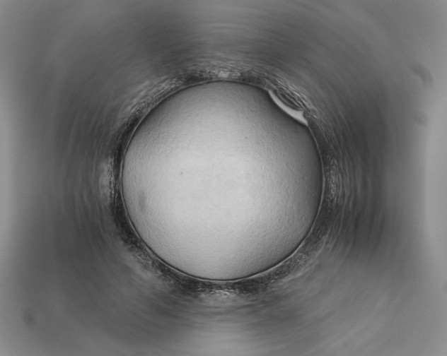 X0000113140594200909181731