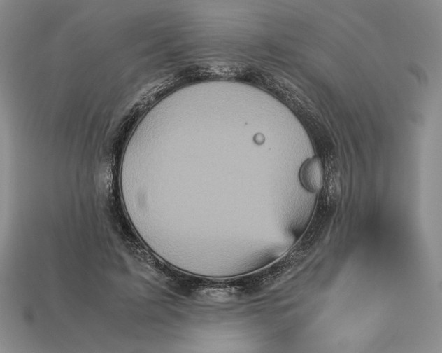 X0000113140595200909181731