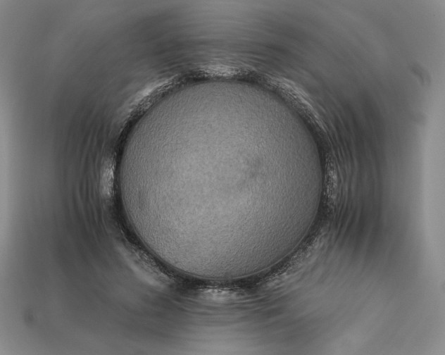 X0000113140596200909181731