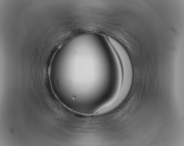 X0000113140597200909181731