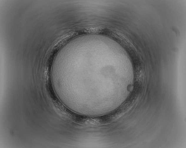 X0000113140599200909181731