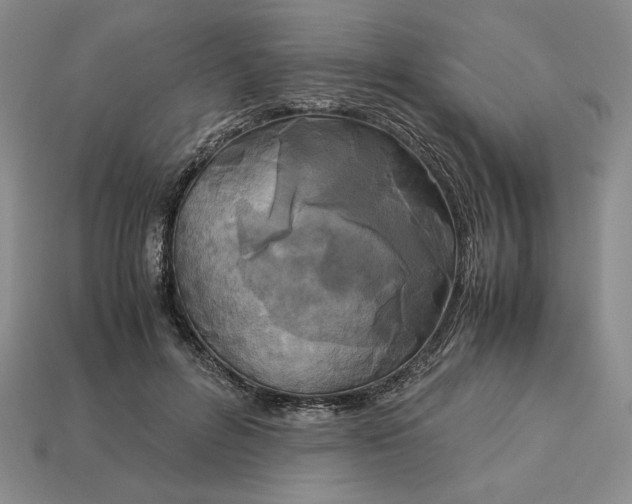 X0000113140600200909181731