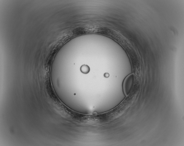 X0000113140601200909181731