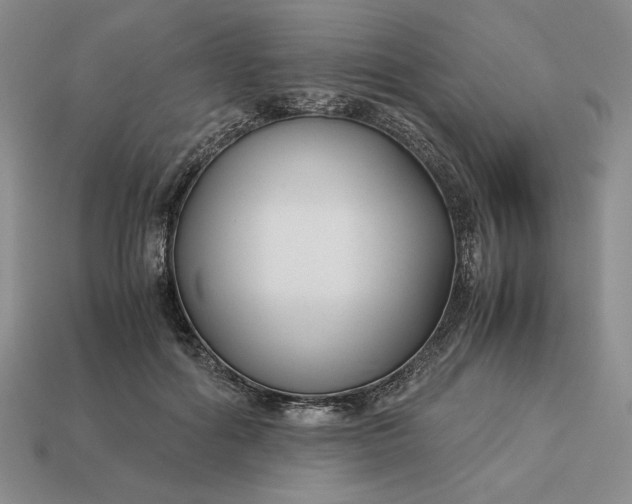 X0000113140602200909181731