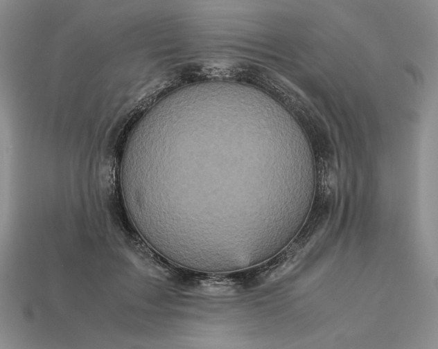 X0000113140603200909181731