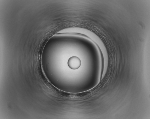 X0000113140605200909181731