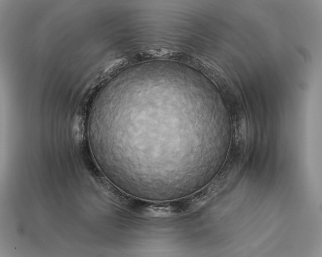 X0000113140606200909181731