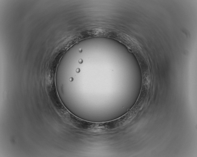 X0000113140607200909181731