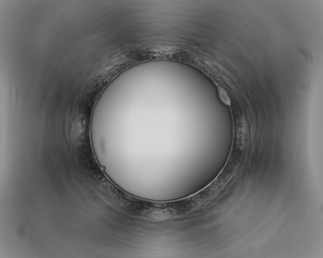 X0000113140608200909181731