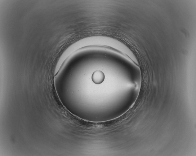 X0000113140609200909181731