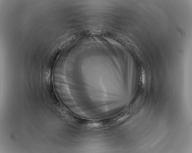 X0000113140610200909181731