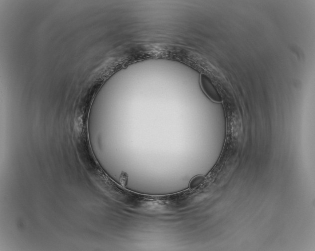 X0000113140611200909181731