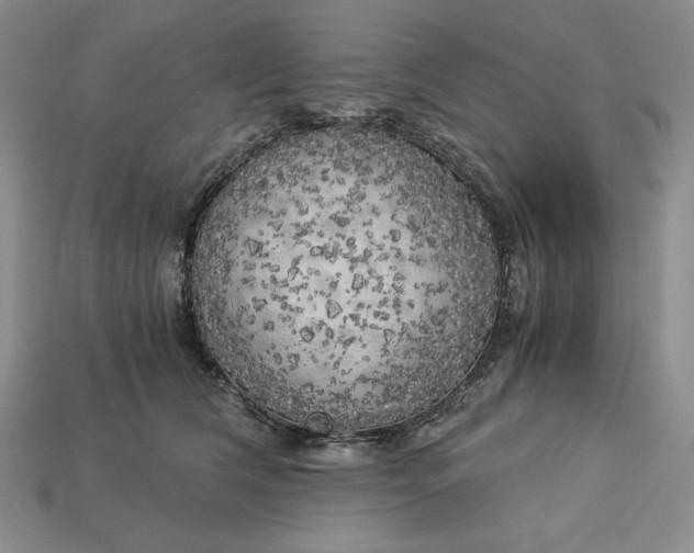 X0000113140612200909181731