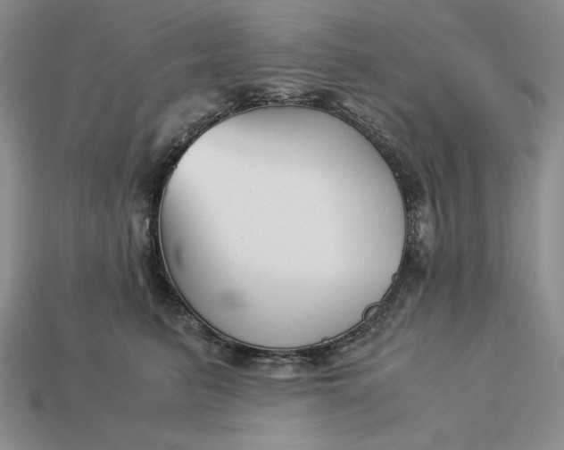 X0000113140615200909181731