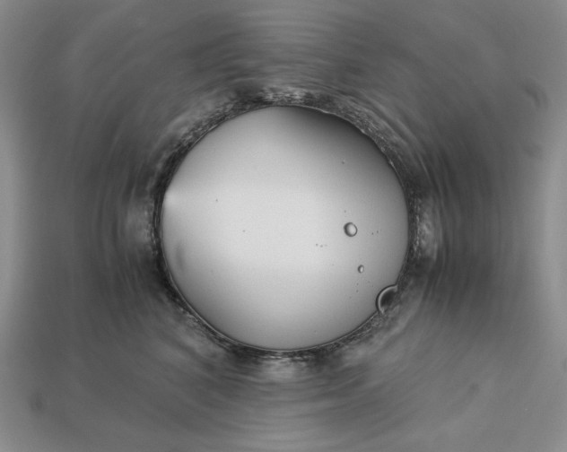 X0000113140616200909181731