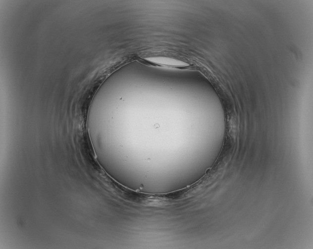 X0000113140617200909181731