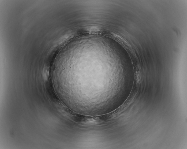 X0000113140618200909181731