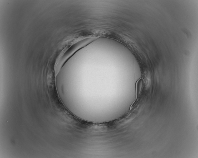 X0000113140619200909181731