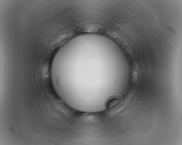 X0000113140620200909181731