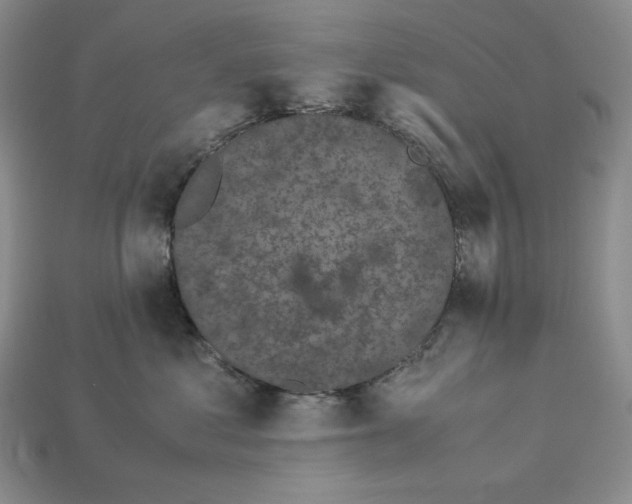 X0000113140621200909181731