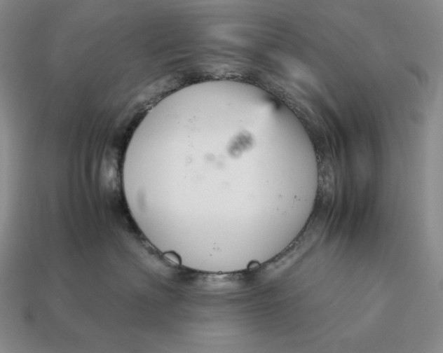 X0000113140622200909181731