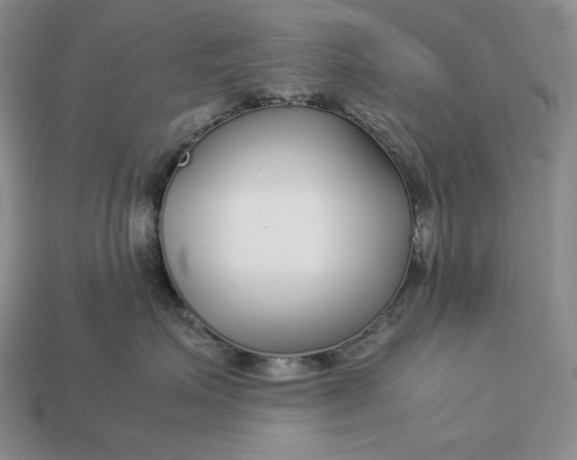 X0000113140623200909181730