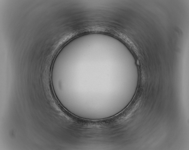 X0000113140625200909181730