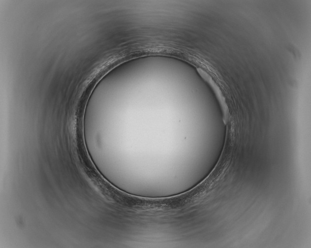 X0000113140626200909181730