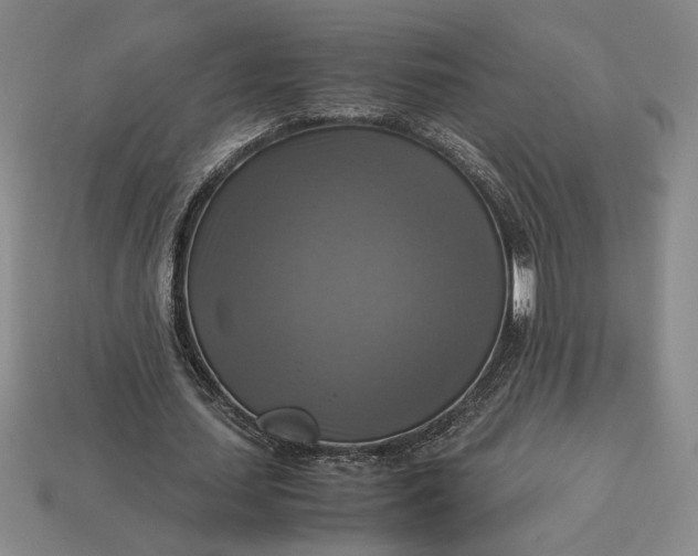 X0000113140627200909181730