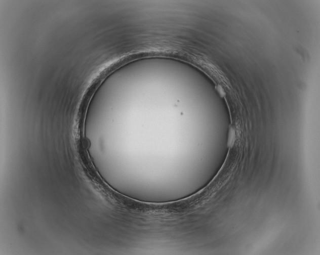 X0000113140628200909181730