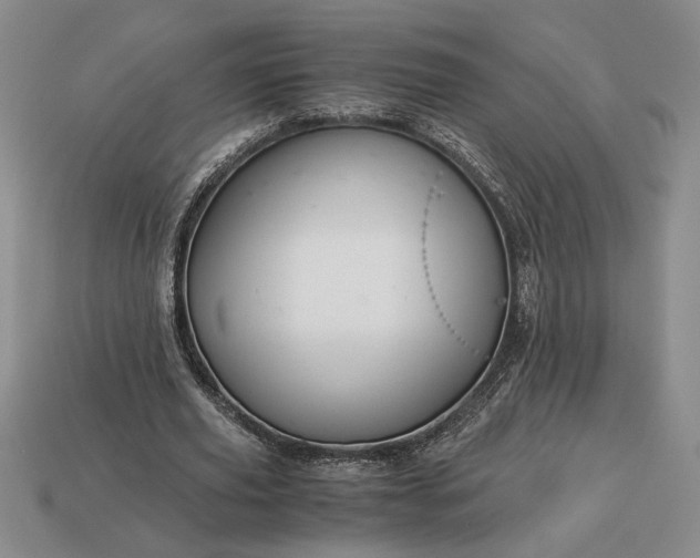 X0000113140629200909181730