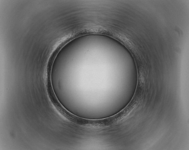 X0000113140630200909181730